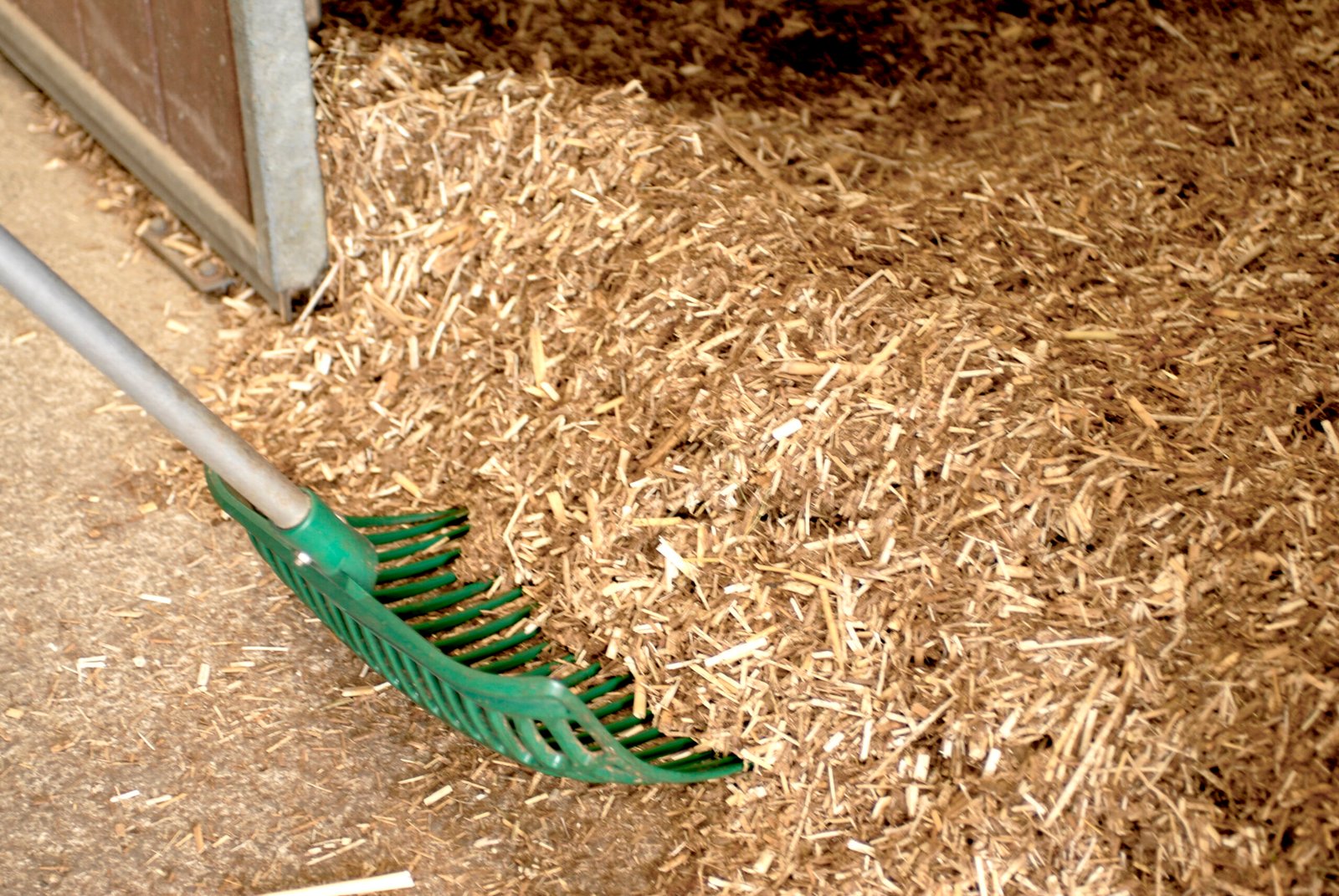 4289eeb1 386c 41fc 8bf7 8fc9d8fe5137