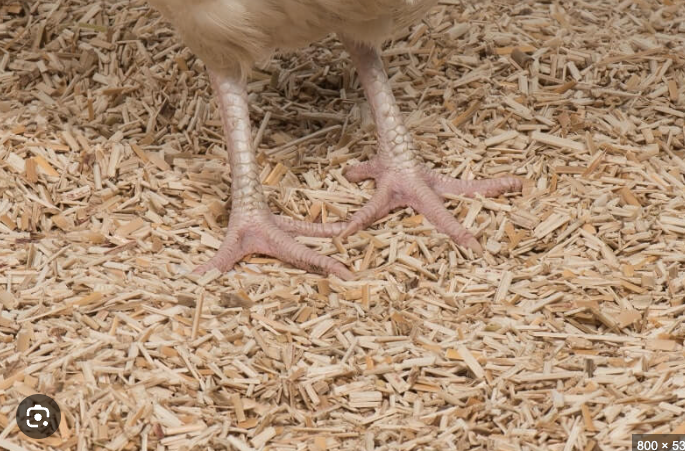 a717eb69 0fa9 41fb 897f 2c2fda1e26af